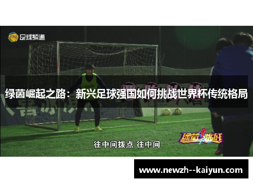 绿茵崛起之路：新兴足球强国如何挑战世界杯传统格局
