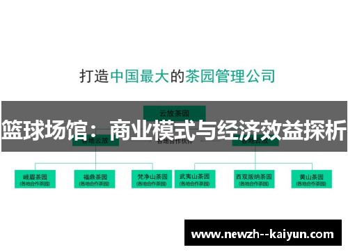 篮球场馆：商业模式与经济效益探析